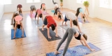 The Ultimate Beginner’s Guide to Yoga